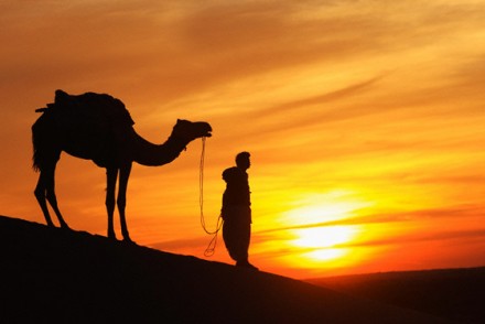 Service Provider of Explore Rajasthan New Delhi Delhi 